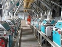日處理小麥40噸面粉加工設備 成套面粉加工設備價格