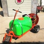 佳诚 柴油三轮自走式打药机 多喷头高压喷药机 低矮果园风送式喷雾器