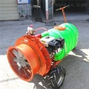 佳诚 汽油风送高压喷雾器 木瓜地风送式打药机 火龙果园高压喷药机