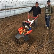 收割谷子高粱好使的收割机（小型高粱收获机供应商）