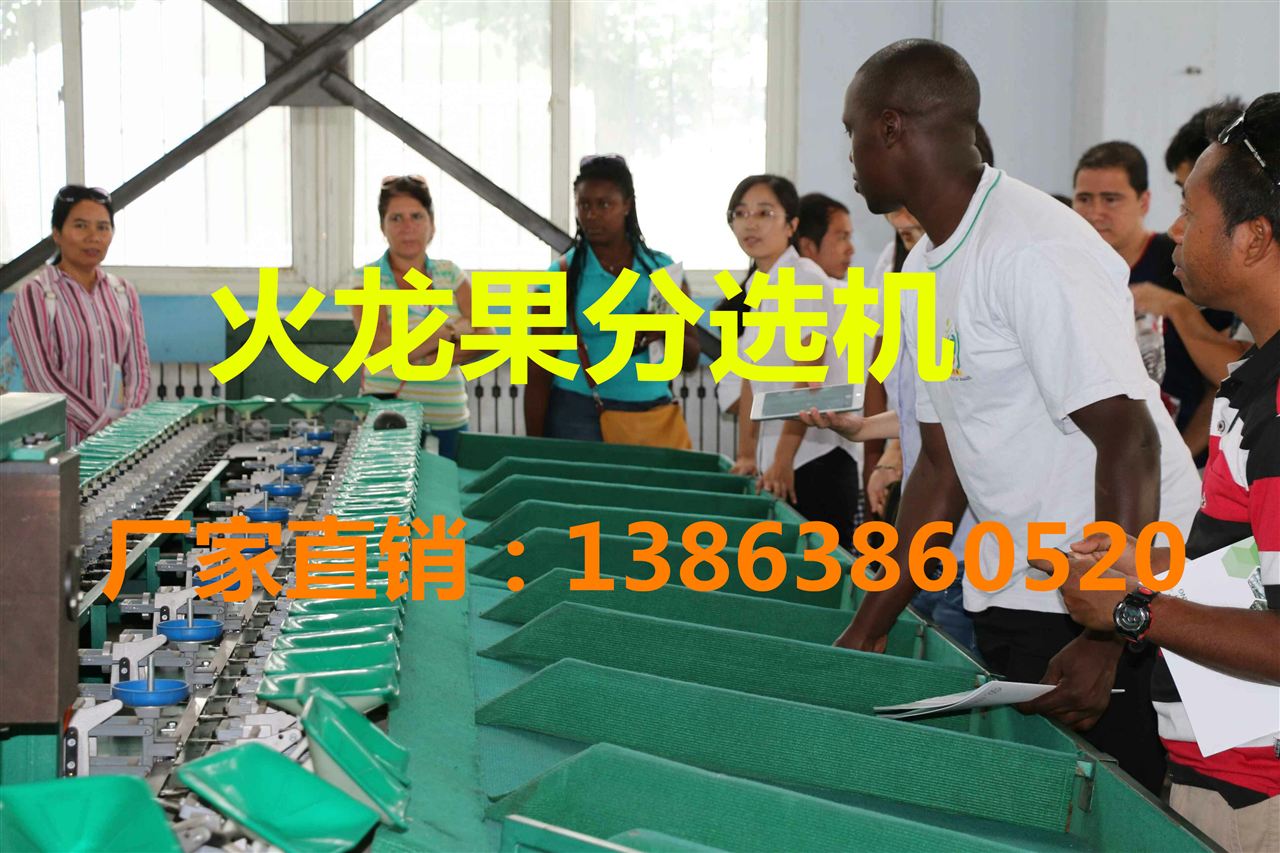 火龙果选果机
