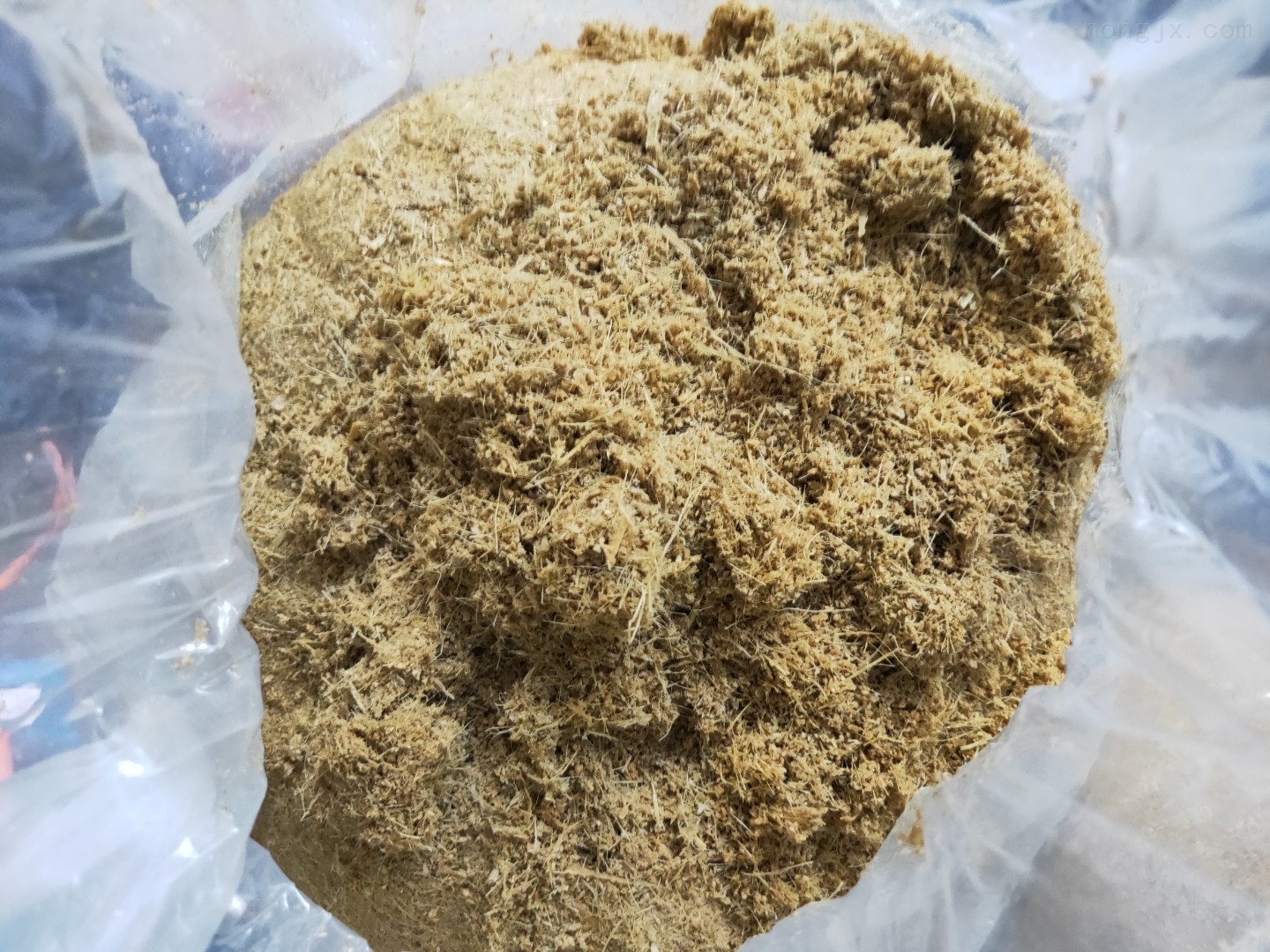 蔬菜废弃物加工设备出料图