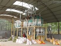 20吨级玉米加工设备 速冻玉米加工设备